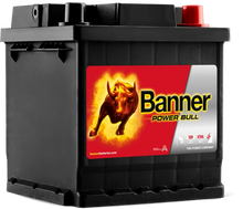 Load image into Gallery viewer, Banner Power Bull Car Battery P4208