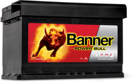 Banner Power Bull Car Battery P7412