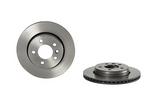 Brembo Painted Brake Disc, 09.D422.11