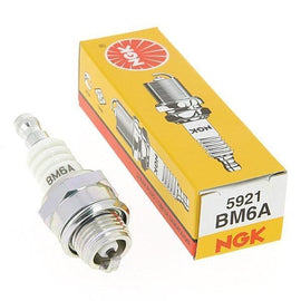 NGK Spark Plugs BM6A