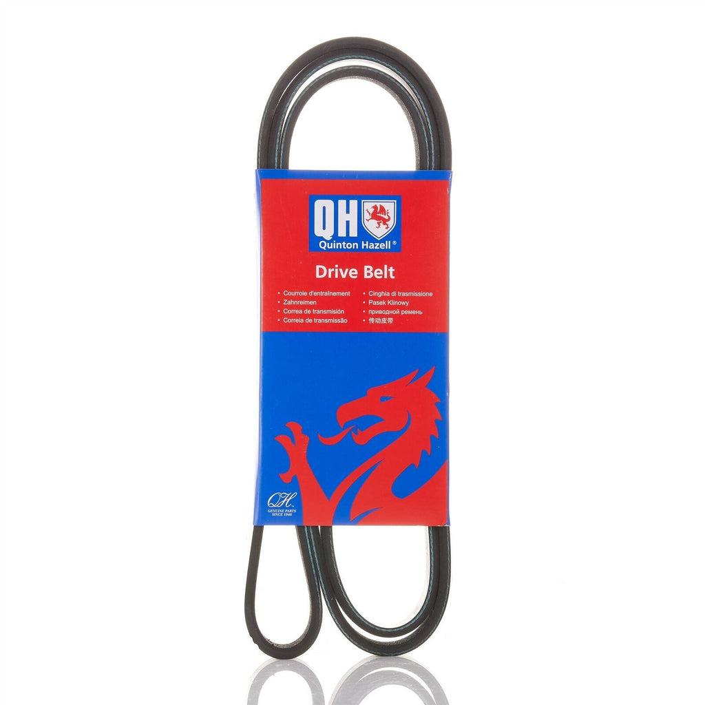 QH Car Vehicle Replacement V-Ribbed Drive Belt - QBR61700