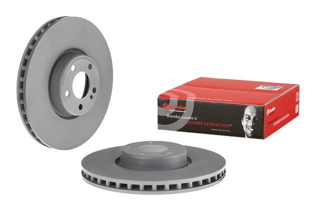 Brembo Painted Brake Disc, 09.D529.13