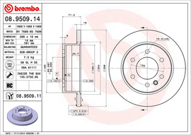 Brembo Painted Brake Disc, 08.9509.11